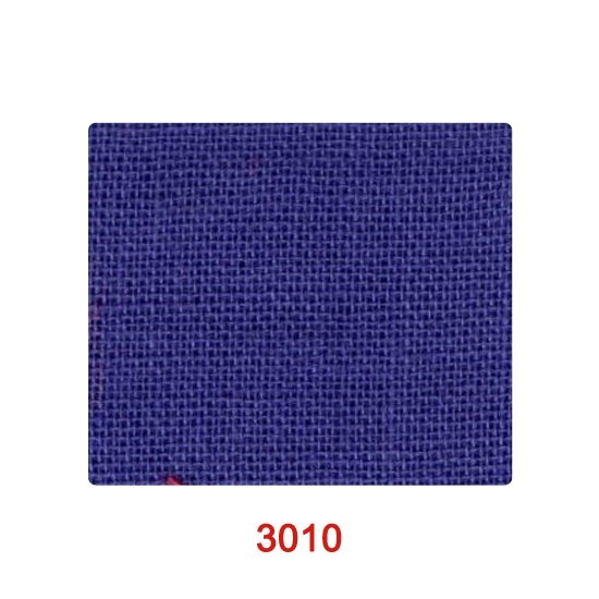 3010_1