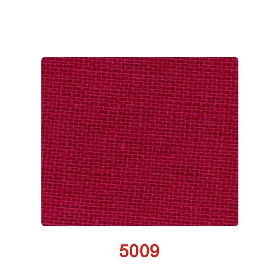 5009_1