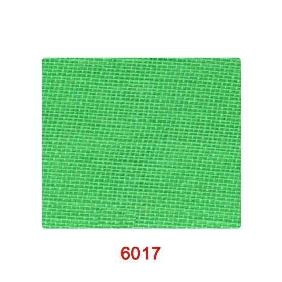 6017_1