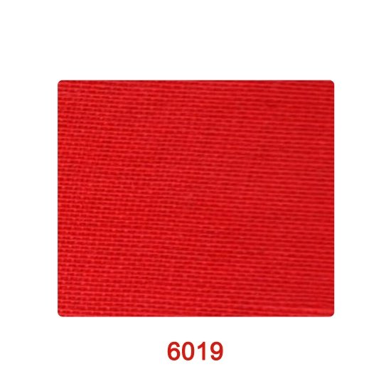 6019_1