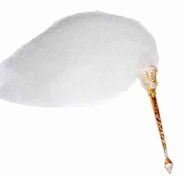 image2_6.jpg