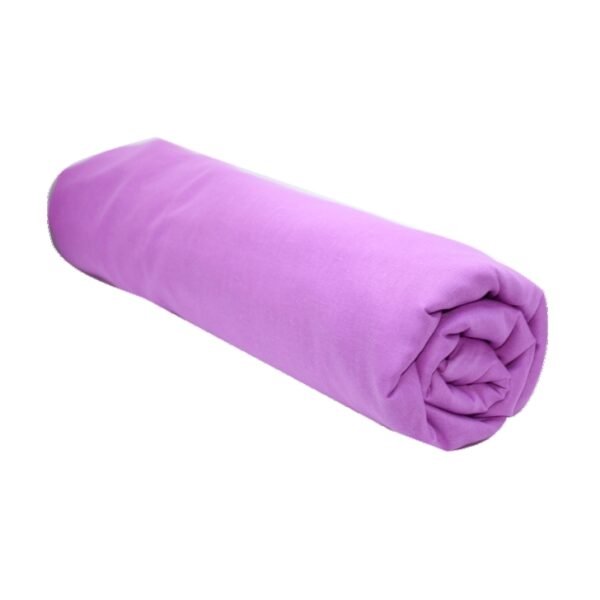 morning_rose_1.jpg