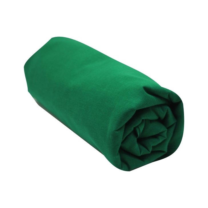 parrot_green