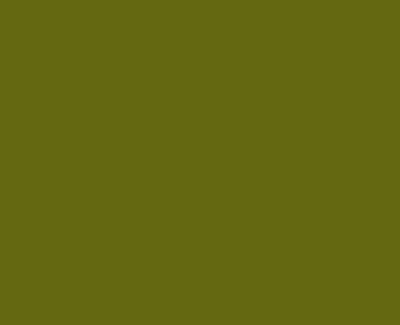 productid-4015